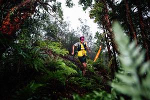 BIB: 
                            <button type="button" onclick="openModal(26205598)" class="btn btn-primary btn-sm float-right btn-popup" data-toggle="modal" data-target=".modal-high-quality">
                        <i class="fas fa-shopping-cart"></i> Add to Cart
                    </button>
                                            <button type="button" onclick="isThisMe(26205598, true)" class="btn btn-success btn-sm float-right btn-popup btn-isme hidden" data-toggle="tooltip" data-placement="bottom" title="นี่คือรูปของคุณใช่ไหม คลิกที่นี่เพื่อเอาเข้าอัลบั้ม">
                        <i class="fas fa-plus"></i> Add to album
                    </button>
                    <button type="button" onclick="isThisMe(26205598, false)" class="btn btn-warning btn-sm float-right btn-popup btn-isnotme hidden">
                        <i class="fas fa-ban"></i> Remove from album
                    </button>